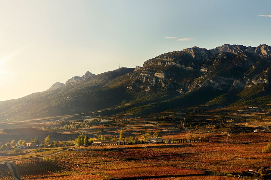 Rioja
