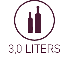3,0 liters